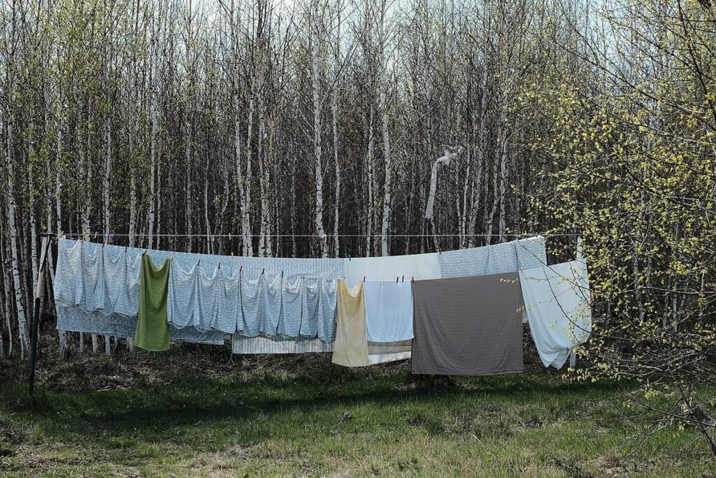 Linge étendu sur un fil dans un jardin, bouleaux en arrière-plan