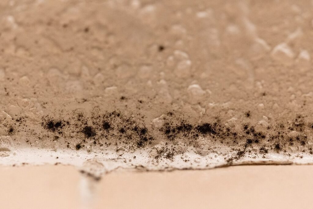 Moisissure noire le long d'un joint de douche